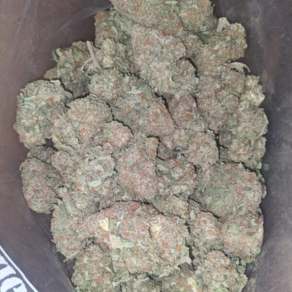 Packman Peachy Nerdz