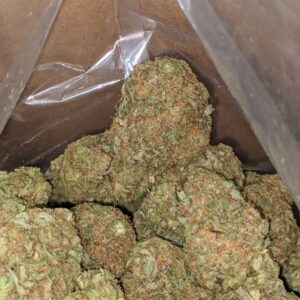 Packman Watermelon Sour Patch Sativa THC