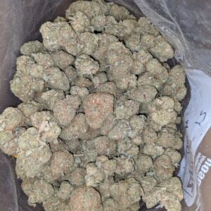Packman Sunset Gelato HYBRID