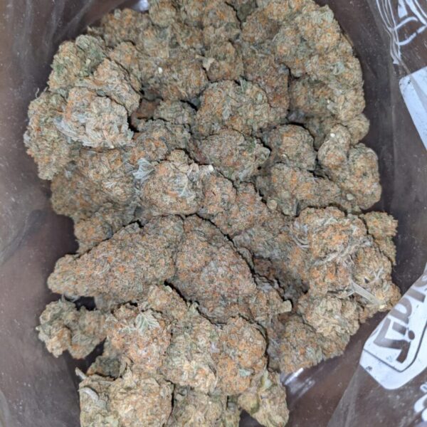 Packman Lemon Head Hybrid